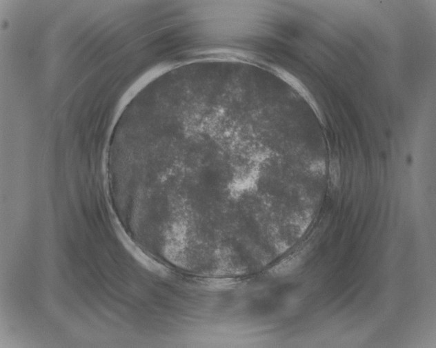 X0000081431482200702021640