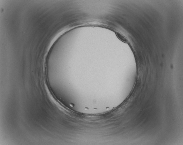 X0000081431483200702021640