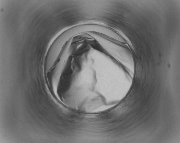 X0000081431484200702021640