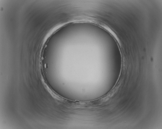 X0000081431485200702021640