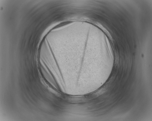 X0000081431486200702021640