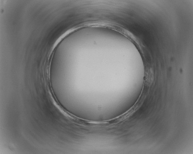 X0000081431487200702021640