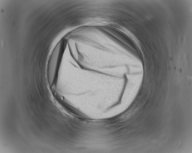 X0000081431488200702021640