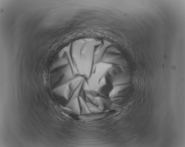 X0000081431490200702021639