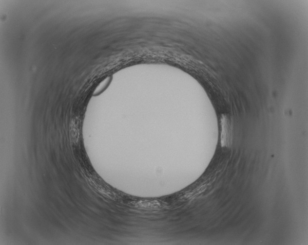 X0000081431491200702021639