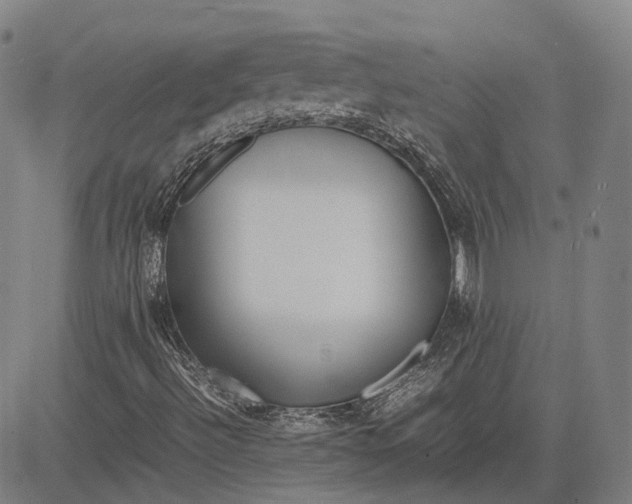 X0000081431492200702021639