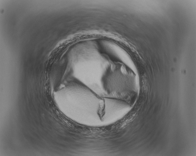 X0000081431494200702021639