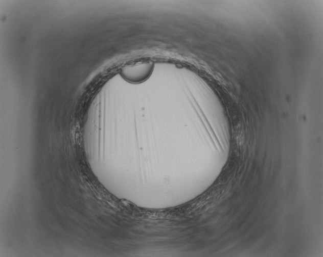 X0000081431495200702021639