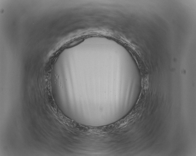 X0000081431496200702021639