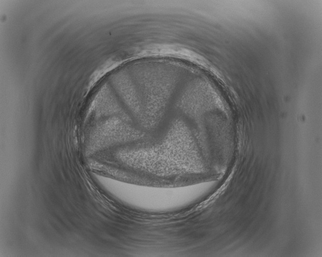 X0000081431497200702021639