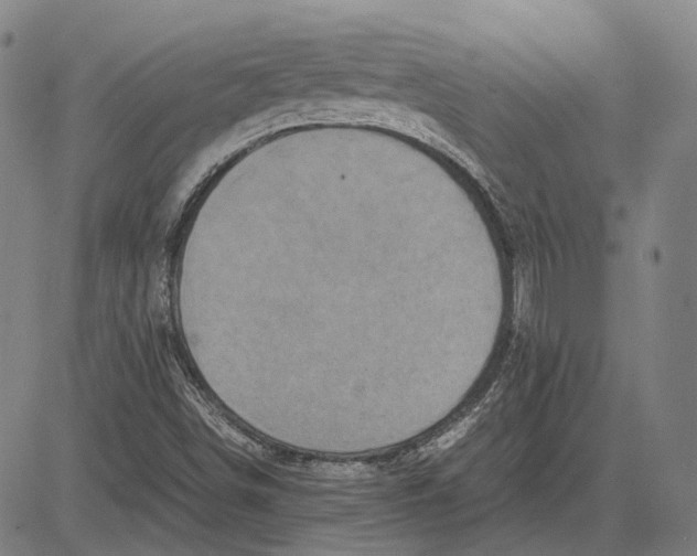 X0000081431498200702021639