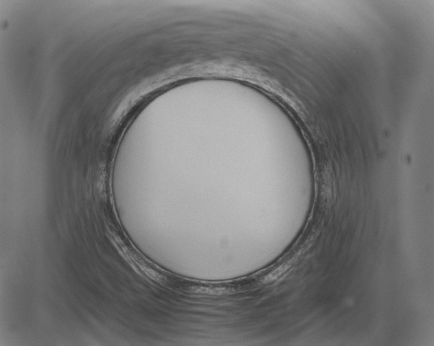 X0000081431499200702021639