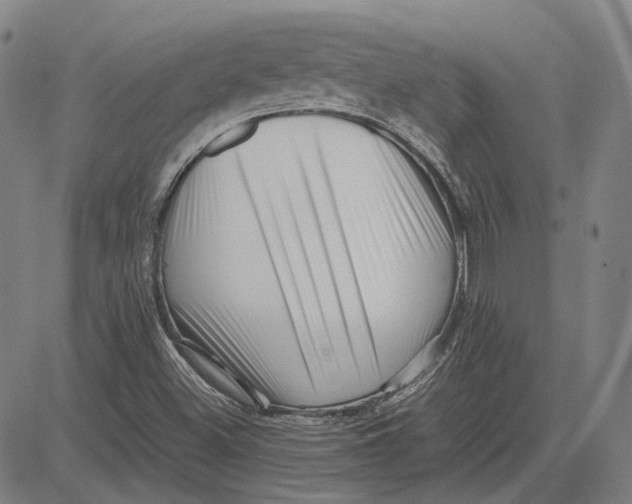 X0000081431500200702021639