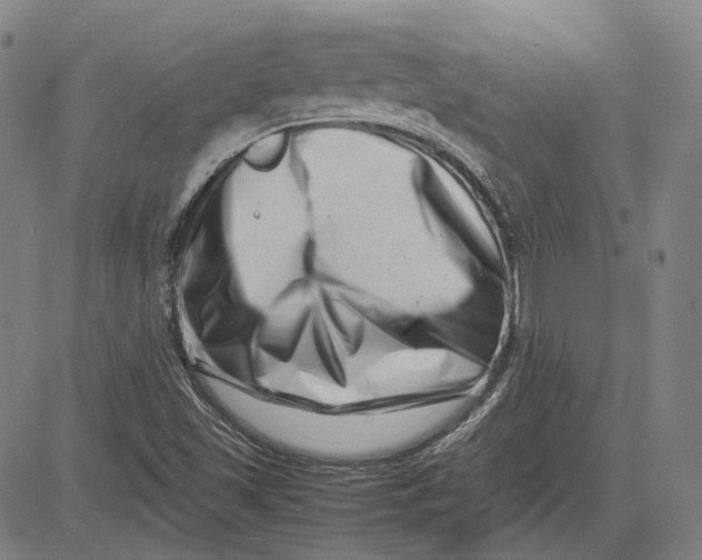 X0000081431501200702021639