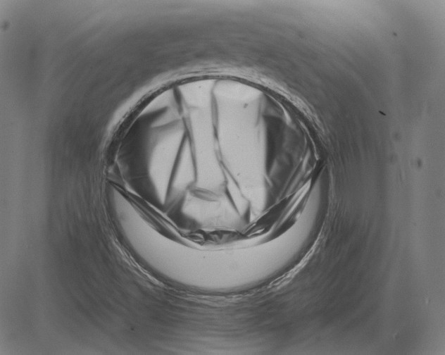 X0000081431502200702021639