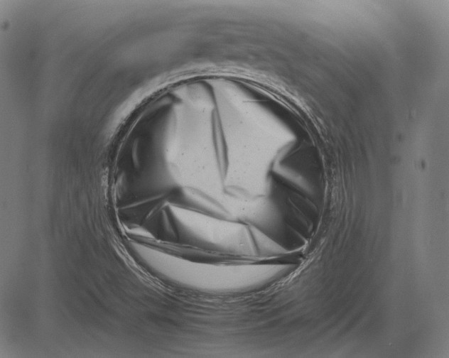 X0000081431503200702021639