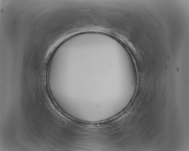 X0000081431504200702021639