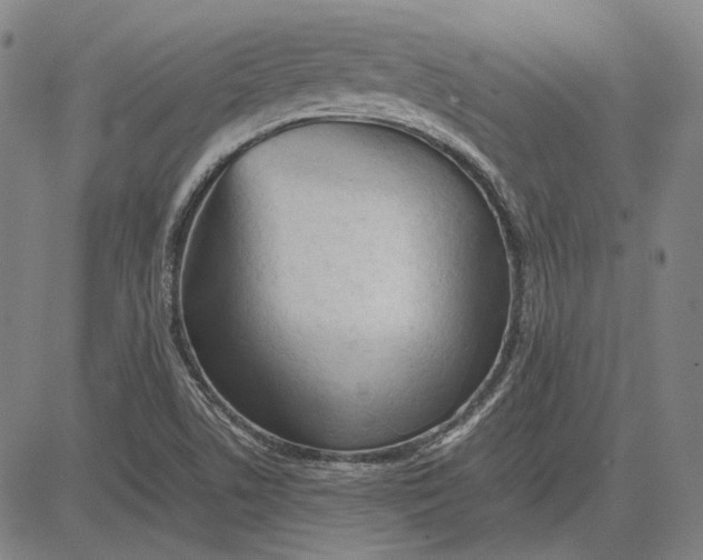 X0000081431506200702021639