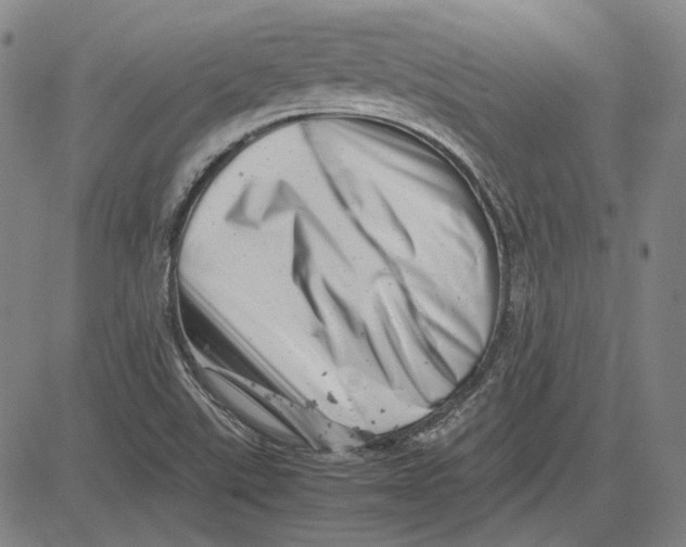 X0000081431507200702021639