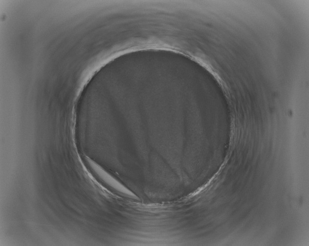 X0000081431508200702021639