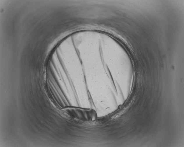 X0000081431509200702021639