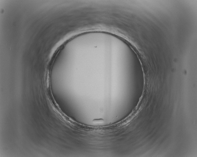 X0000081431510200702021639