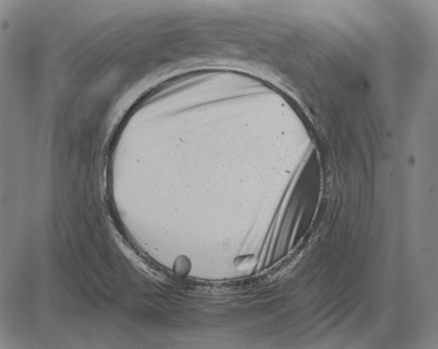 X0000081431511200702021639