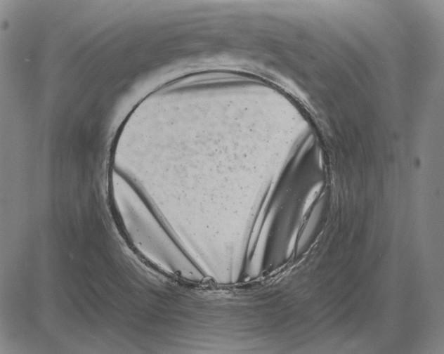 X0000081431512200702021639