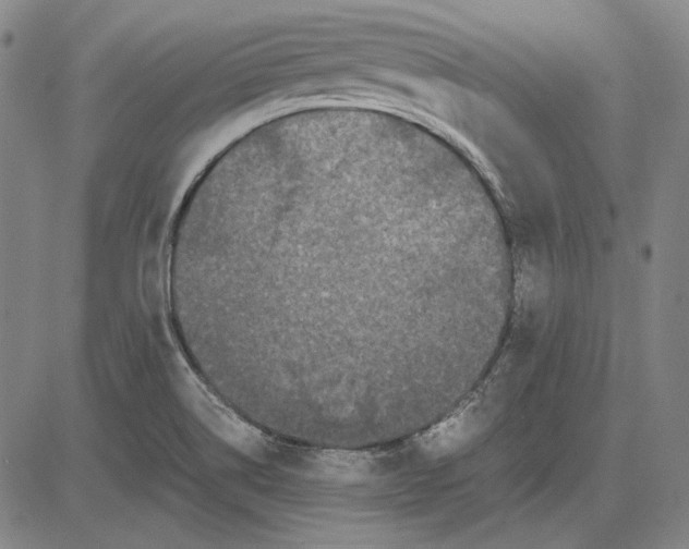 X0000081431514200702021639