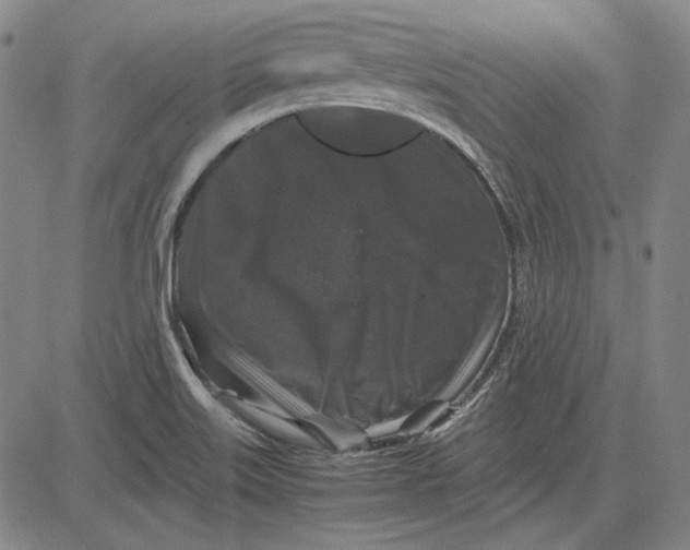 X0000081431515200702021639