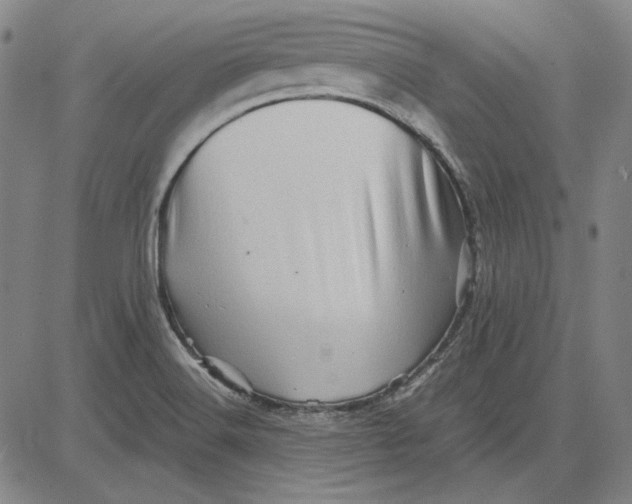 X0000081431516200702021639