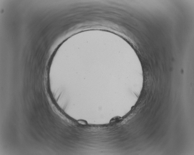 X0000081431518200702021639