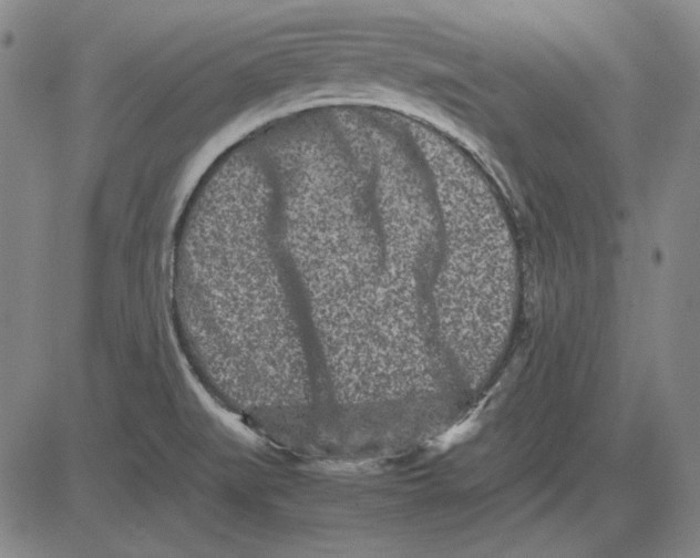 X0000081431519200702021639