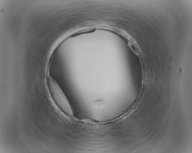 X0000081431520200702021639