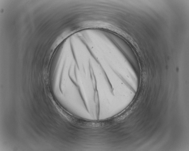 X0000081431521200702021639