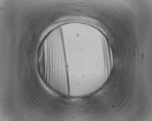 X0000081431523200702021640