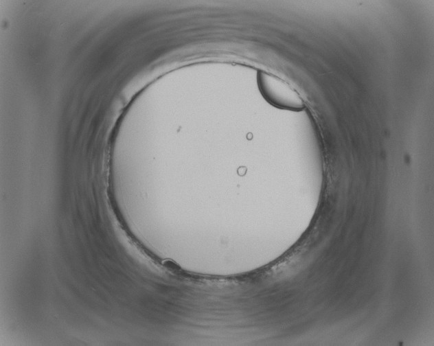 X0000081431526200702021640