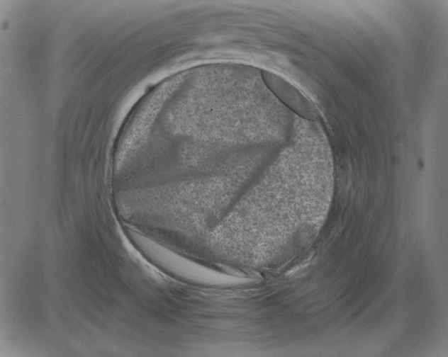 X0000081431527200702021640