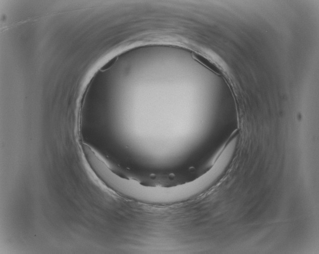 X0000081431528200702021640