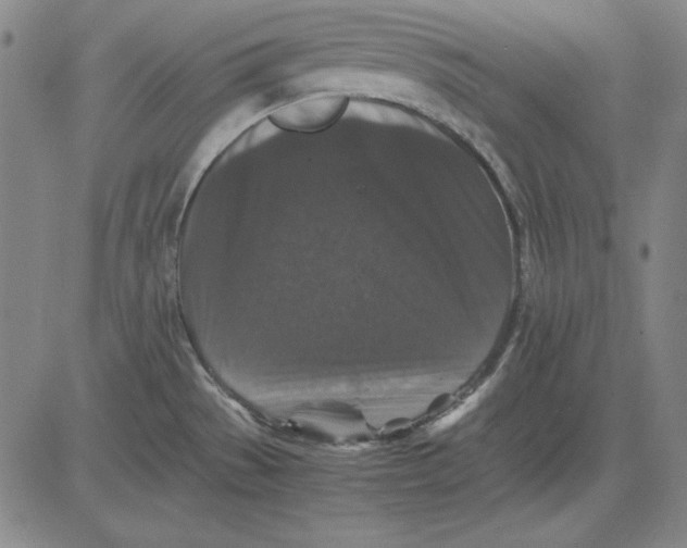 X0000081431529200702021640