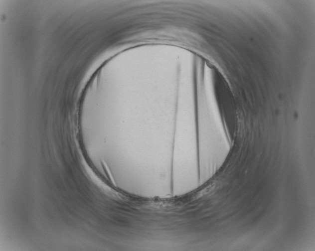 X0000081431531200702021640