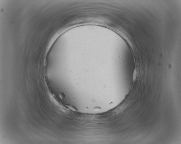 X0000081431532200702021640