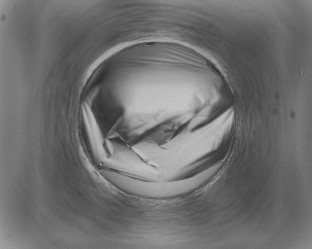 X0000081431534200702021640