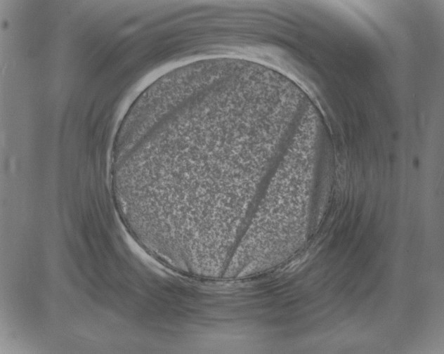 X0000081431535200702021640