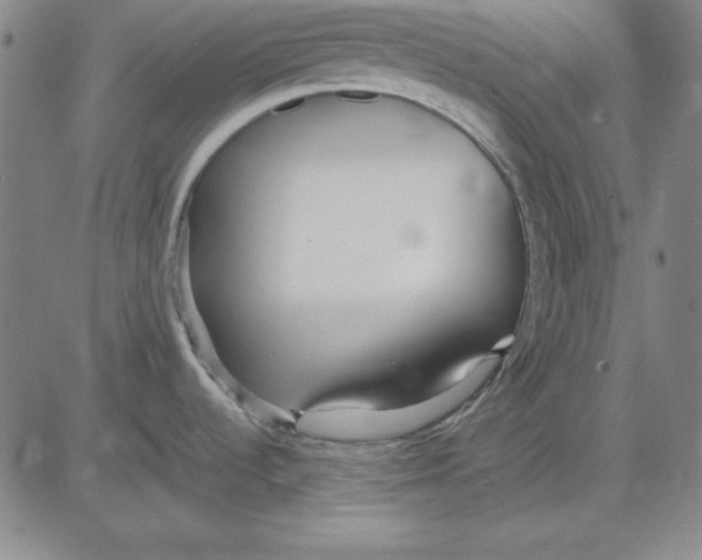 X0000081431536200702021640