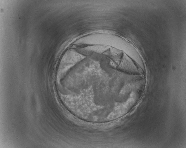 X0000081430001200702092211