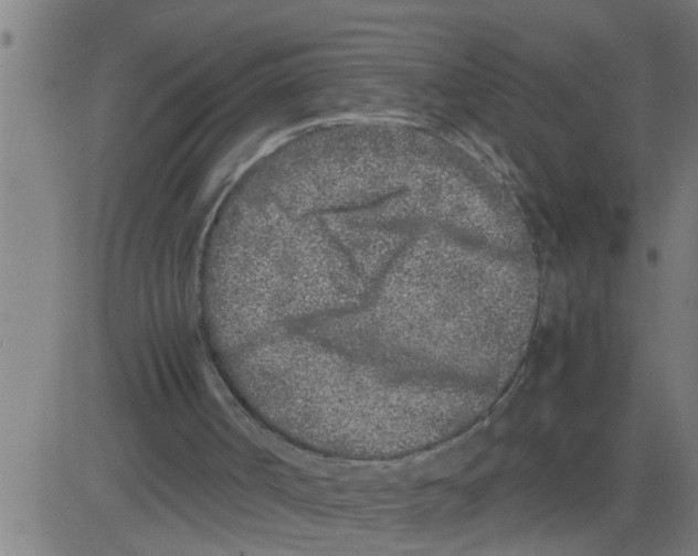 X0000081430002200702092211