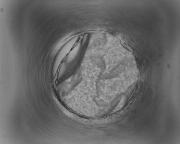 X0000081430005200702092211