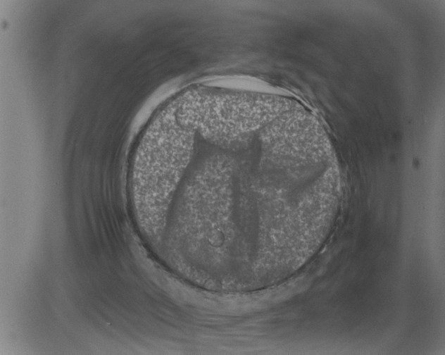 X0000081430006200702092211