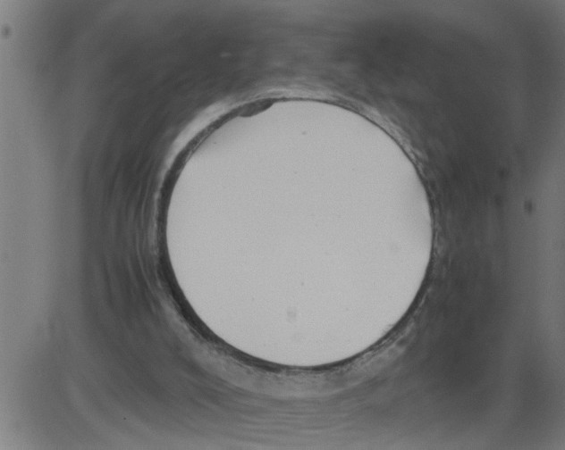 X0000081430008200702092211